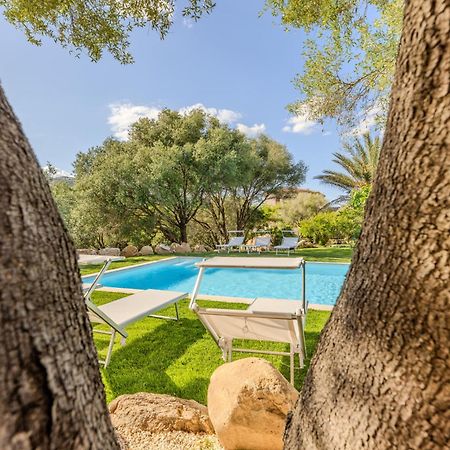 Ferienwohnung Stazzo San Teodoro L'Olivastro Piscina Condivisa Exterior foto