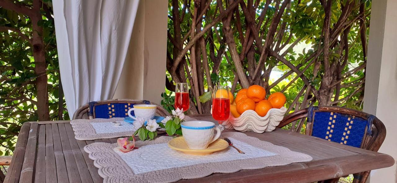 Ferienwohnung Stazzo San Teodoro L'Olivastro Piscina Condivisa Exterior foto