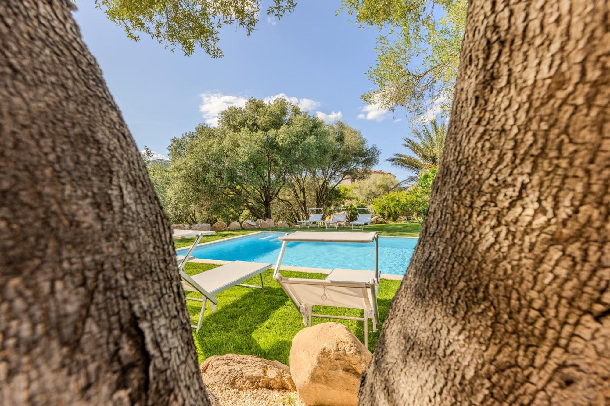 Ferienwohnung Stazzo San Teodoro L'Olivastro Piscina Condivisa Exterior foto